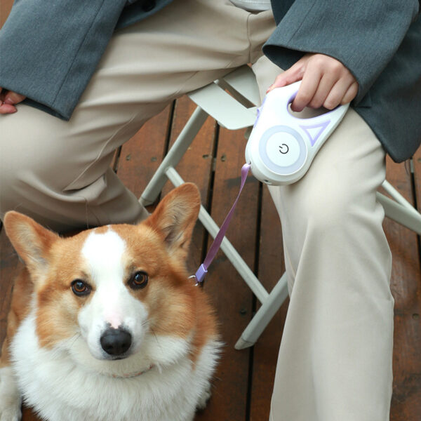 Automatic Retractable Dog Leash & Spotlight Collar – Pet Traction Rope for Small/Medium Dogs - Image 3