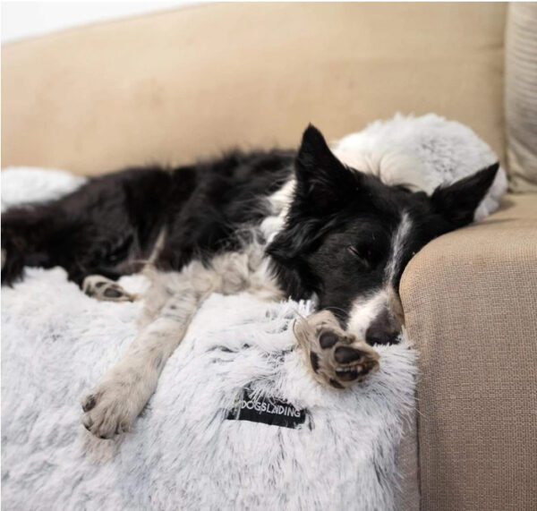 Removable Pet Mat – Washable Dog & Cat Cushion for Home, Car & Couch - Image 3